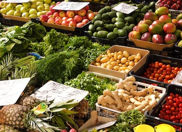 México y Canadá amplían intercambio de productos vegetales; buscan ser aliados estratégicos en abasto de alimentos