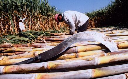 Entérate. Así está el “pleito” azucarero entre México y EU