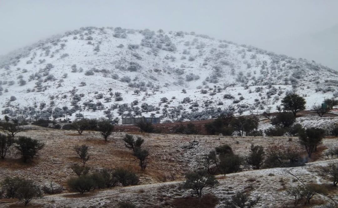 Foto: Archivo/ EL UNIVERSAL                                   