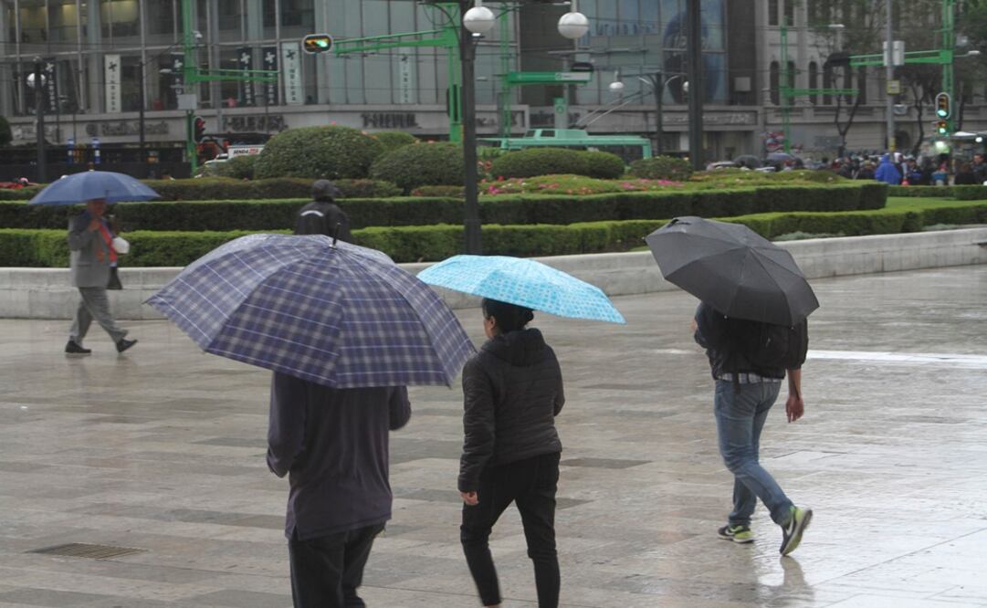 Foto: Archivo/Cuartoscuro