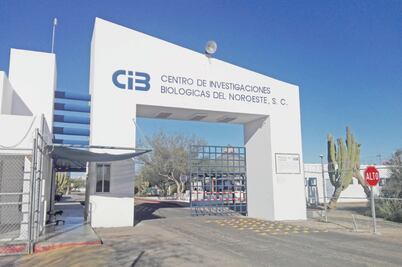 Empleados de Cibnor exigen a Hacienda pago de salarios 