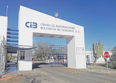 Empleados de Cibnor exigen a Hacienda pago de salarios
