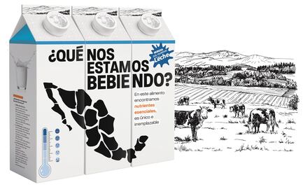 ¿Qué tipo de leche consumimos los mexicanos?
