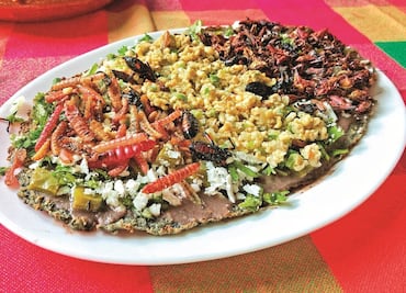 De qué está hecho el asiento de las tlayudas