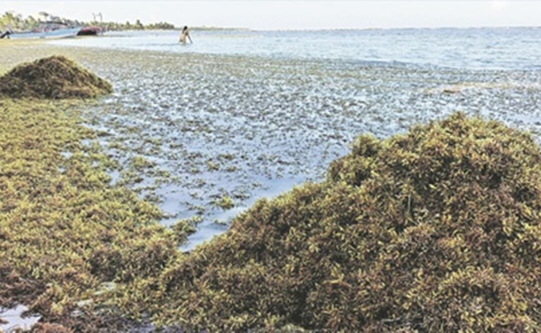 FOTO: archivo. EL UNIVERSAL