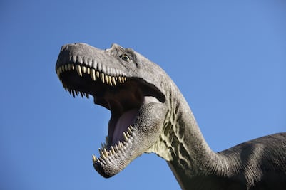 ¿Sabes dónde está la capital de los dinosaurios?