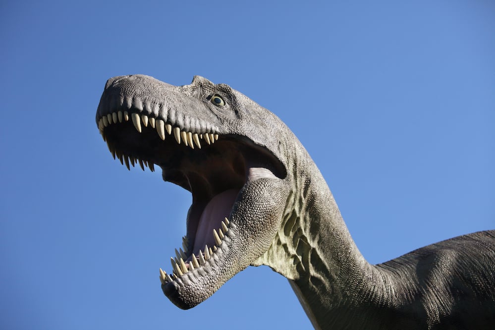 Puedes acampar en el Parque Nacional de Banff y conocer restos de dinosaurios. (Foto: Istock)