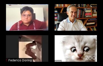 Mancera sin ropa, Döring en el baño, el abogado gatito; los momentos más vergonzosos en Zoom