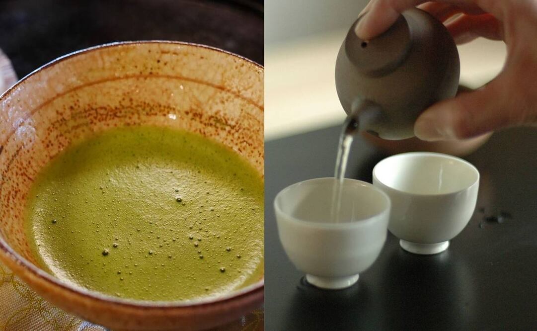 Tanto el matcha como el té verde se extraen de la misma planta / Foto: Pexels 