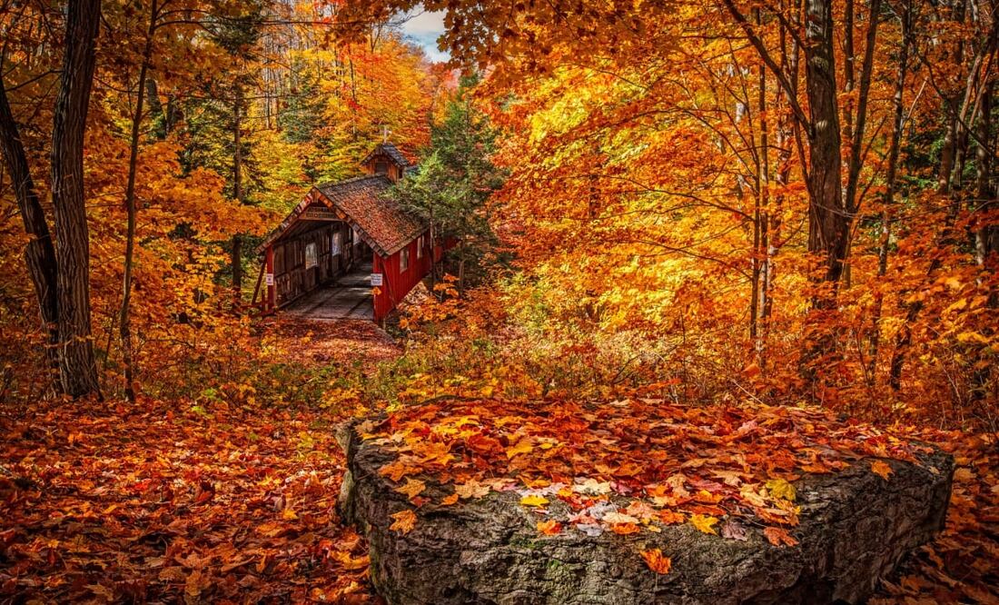 Los días frescos, secos y despejados son mejores para los colores del otoño. Foto: Unsplash. Dennis Buchner