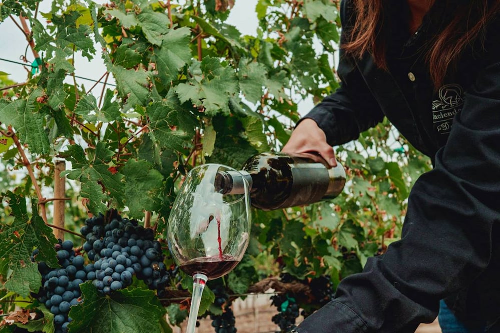 Hacienda Atongo es una de las vinícolas de Querétaro. Foto: Hacienda Atongo