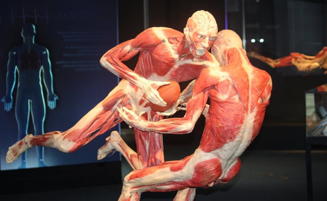 Foto: José Romero Mata / Notimex