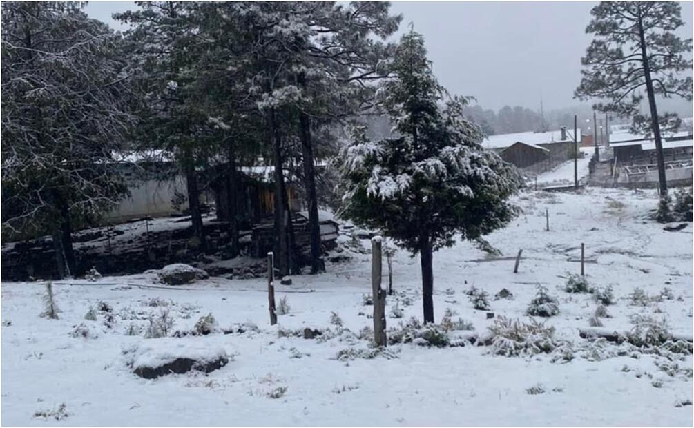 Ingreso de dos frentes fríos al estado de Chihuahua provocaron la caída de nieve. Foto: Especial