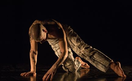 Festival Internacional de Danza Contemporánea de la Ciudad de México se realizará, pero sin público