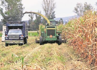 Inician credencialización de jornaleros agrícolas en Hidalgo