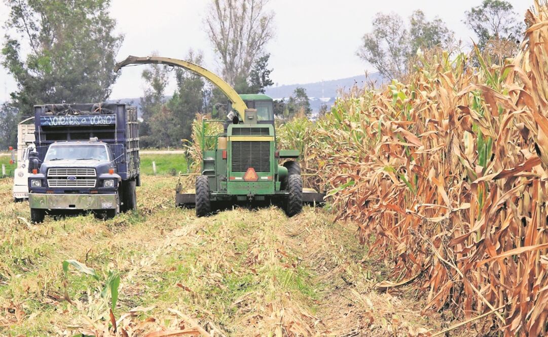 El delegado de Desarrollo Social de Hidalgo, Onésimo Serrano, indicó que las amenazas de los enganchadores obstaculizan el proceso de credencialización (Foto: Archivo/El Universal)