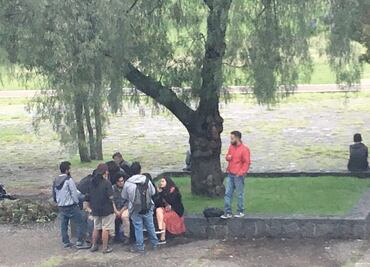 Narcomenudistas aplican el “efecto cucaracha” en CU