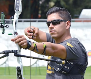 Tira flechas y organiza