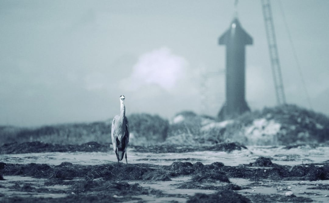 Boca Chica, Texas alberga el proyecto espacial. Foto: MANDARINA CINE