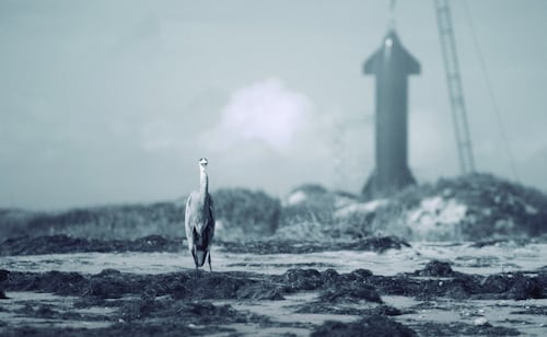 Progress encroaches on Boca Chica's 'sanctuary'