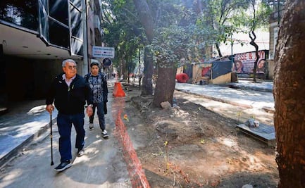 Zona Rosa: Llaman a regular ambulantaje