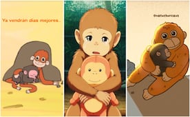 La fiebre por el mono “Punch” inunda las redes; usuarios lanzan cortos animados de su historia