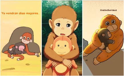 La fiebre por el mono “Punch” inunda las redes; usuarios lanzan cortos animados de su historia