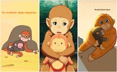 La fiebre por el mono “Punch” inunda las redes; usuarios lanzan cortos animados de su historia