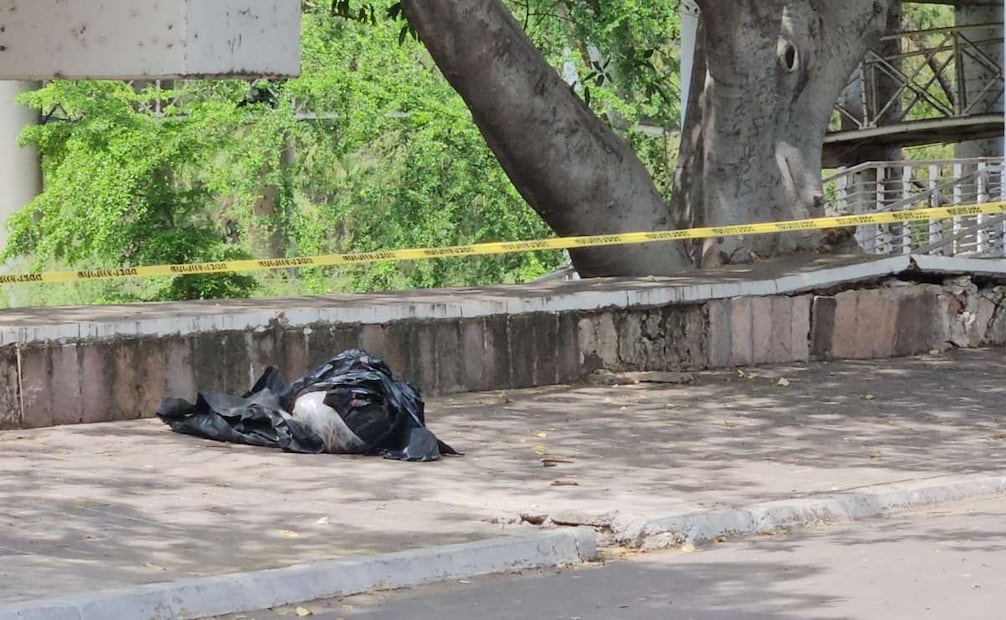 Jornada violenta en Sinaloa: Asesinan a tres personas en Culiacán; una estilista fue atacada en su barbería.
Foto: Especial.