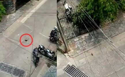 Viral: Rata cae desde lo alto de un edificio sin morir 