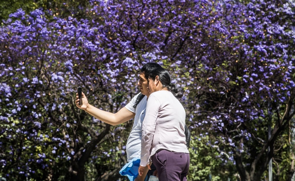 En el Festival de las Flores 2026 habrá productos de floricultores. Foto: Germán Espinosa / EL UNIVERSAL 