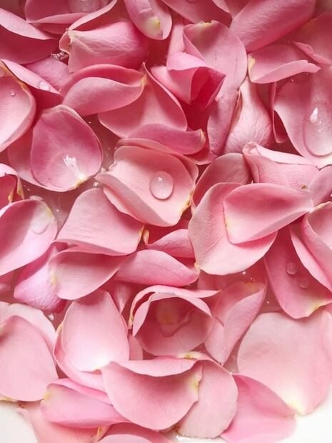 Los 5 mejores usos del agua de rosas en la belleza