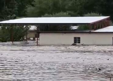 Lluvias provocan fuertes inundaciones en Nuevo Casas Grandes, Chihuahua; no se reportan lesionados o fallecidos