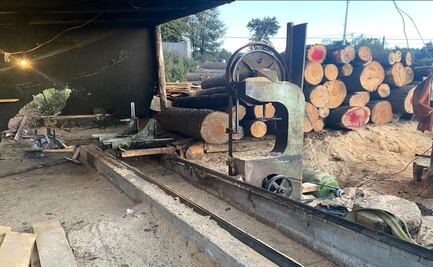 Desmantelan 5 centros de almacenamiento de madera en Morelos