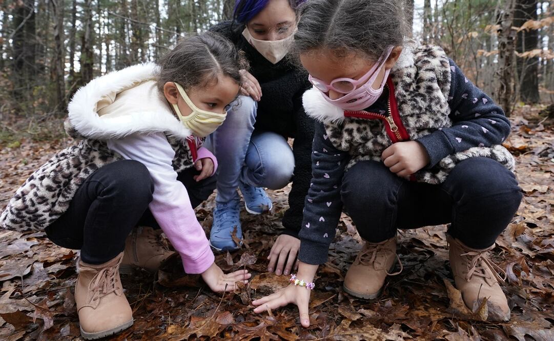 La usherina es la proteína que nos da el sentido del tacto en la yemas. Foto: AP Photo/Elise Amendola
