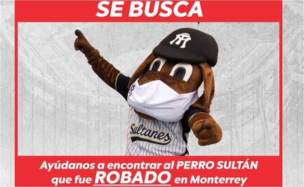 Sultanes de Monterrey solicitan ayuda para encontrar al Perro Sultán