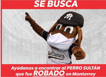 Sultanes de Monterrey solicitan ayuda para encontrar al Perro Sultán