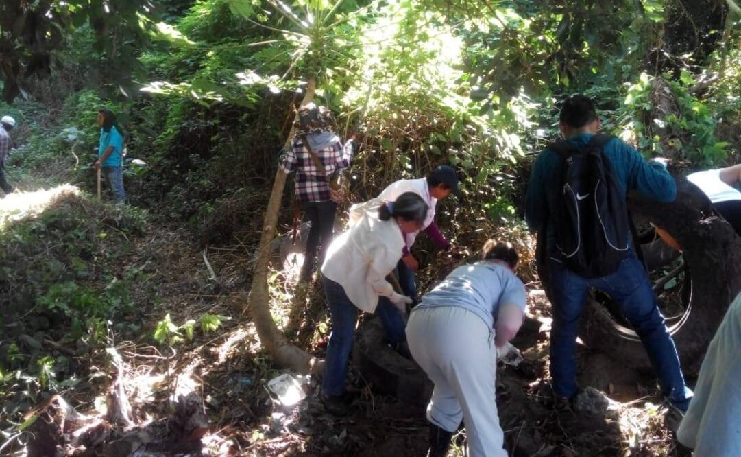 Foto: tomada de Facebook @colectivo.solecitodeveracruz