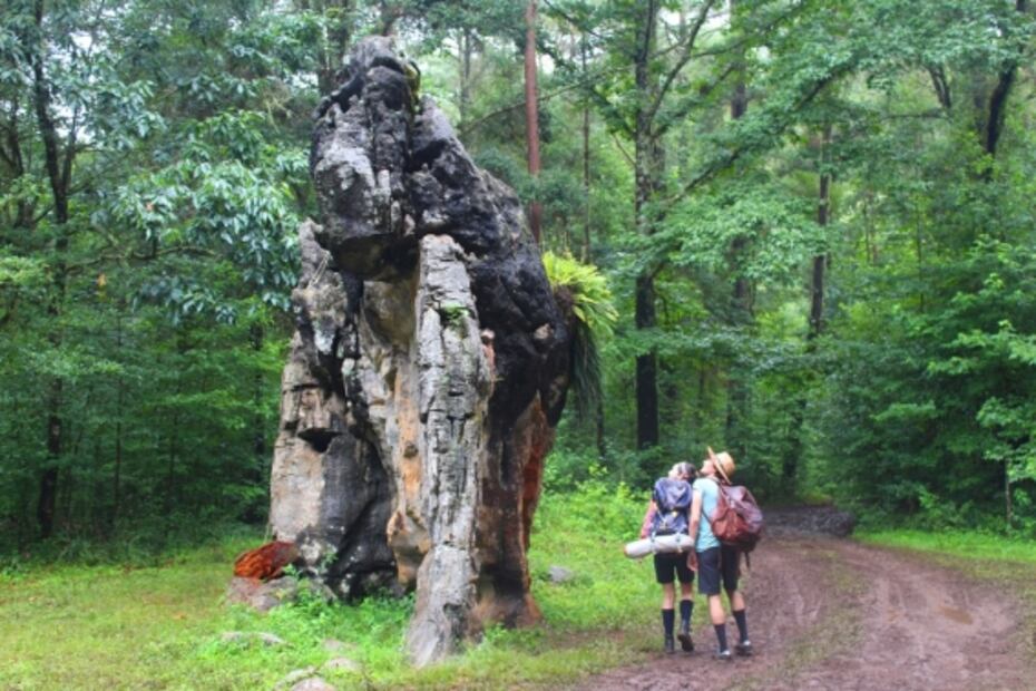 El Cielo, la increíble Reserva de la Biósfera de México  