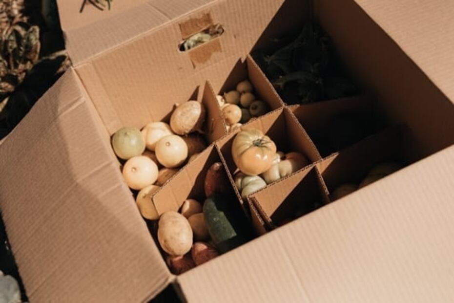 Arca Tierra, alimentos orgánicos y de temporada de la chinampa a tu mesa