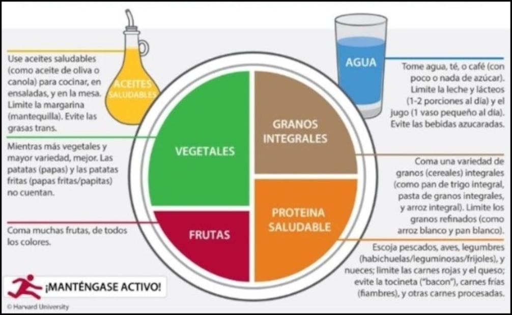 Plato de comida saludable. Fuente: Universidad de Harvard