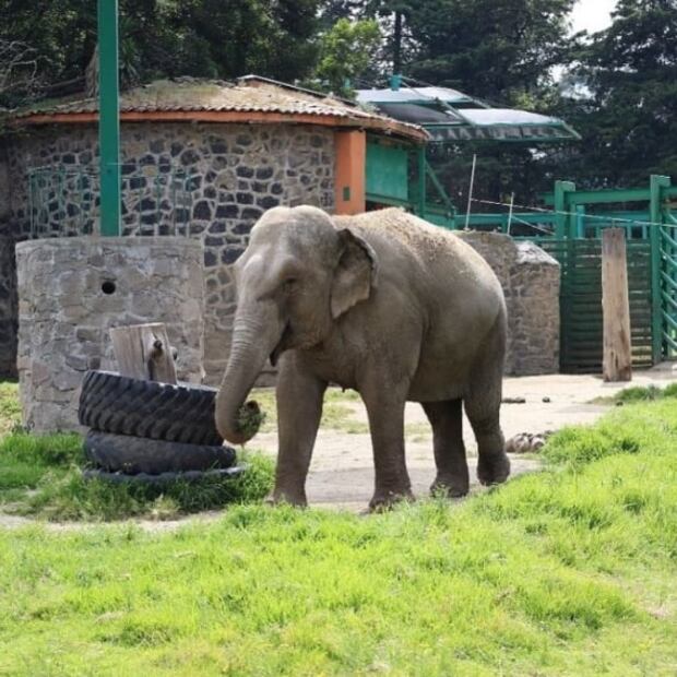 Cuál es el Pueblo Mágico más pequeño de México