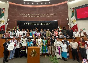 Promueven en Senado reforma para legalizar peyote y hierba del sapo con fines medicinales