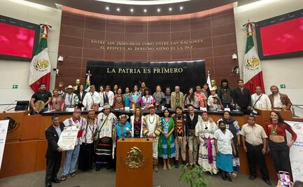 Promueven en Senado reforma para legalizar peyote y hierba del sapo con fines medicinales