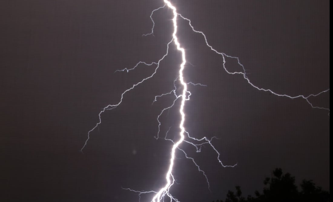 "El rayo impactó en el remolque. El ganado estaba amontonado alrededor del remolque y los impactó a todos", dijo George Crocket, forense del condado. Foto: AP