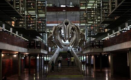 Biblioteca Vasconcelos realiza perfil de sus visitantes