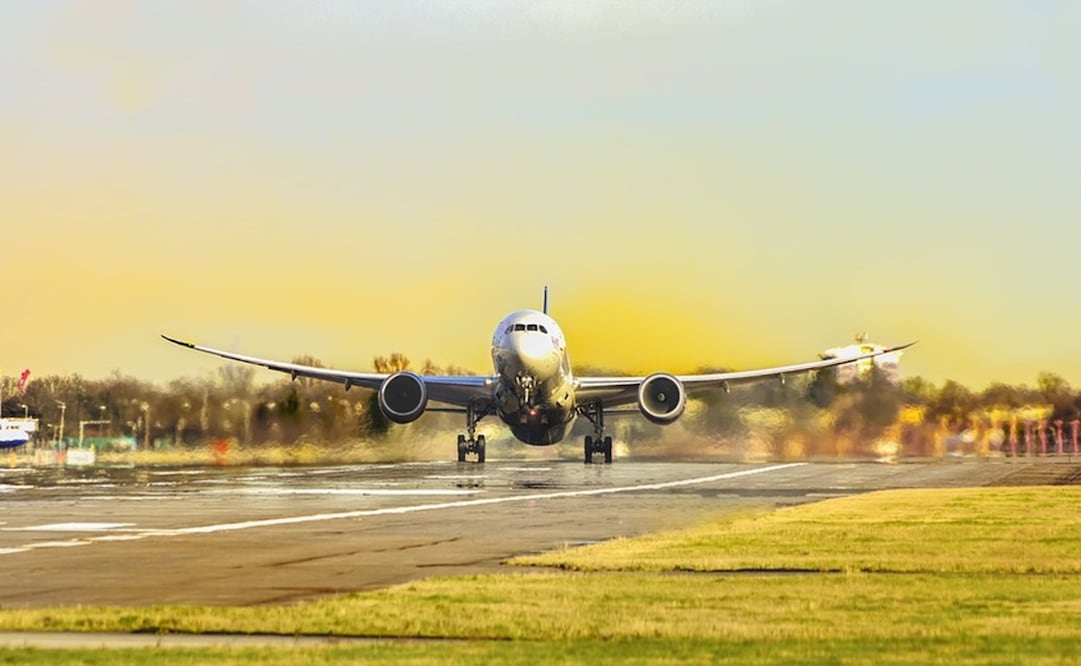 Foto: Archivo / Pixabay