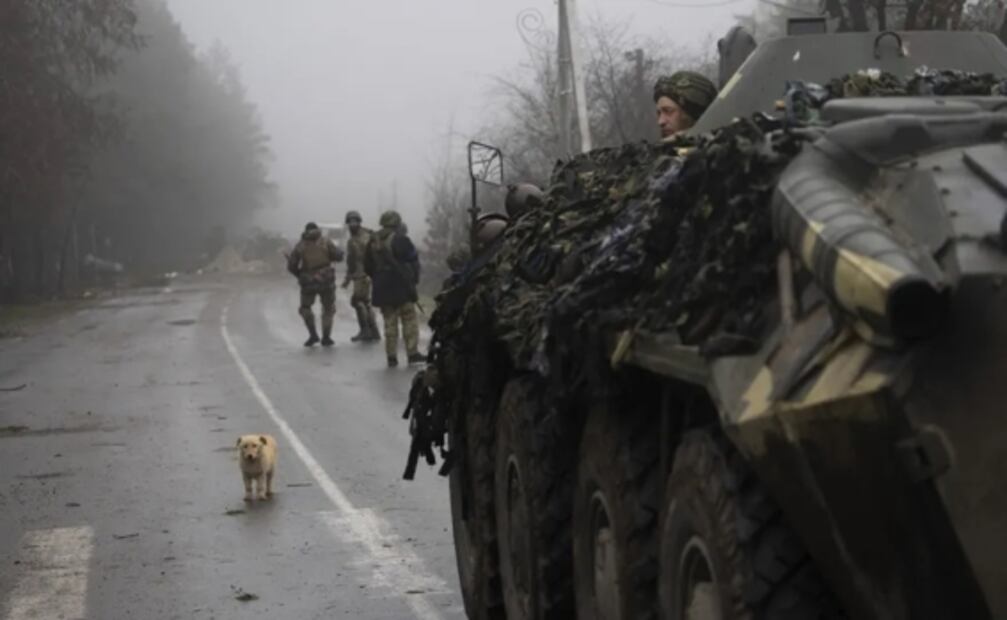 Pese a la guerra, mascotas permanecen junto a los cuerpos de sus dueños en Ucrania 