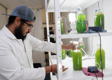 Mexicanos purifican el aire con algas