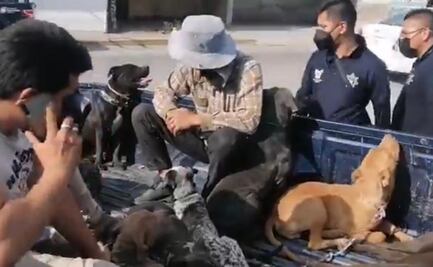 Jauría de perros atacan a dos mujeres en Hidalgo; una fallece